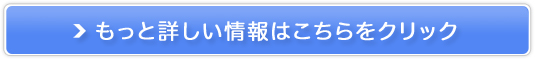 YACL̔TCg